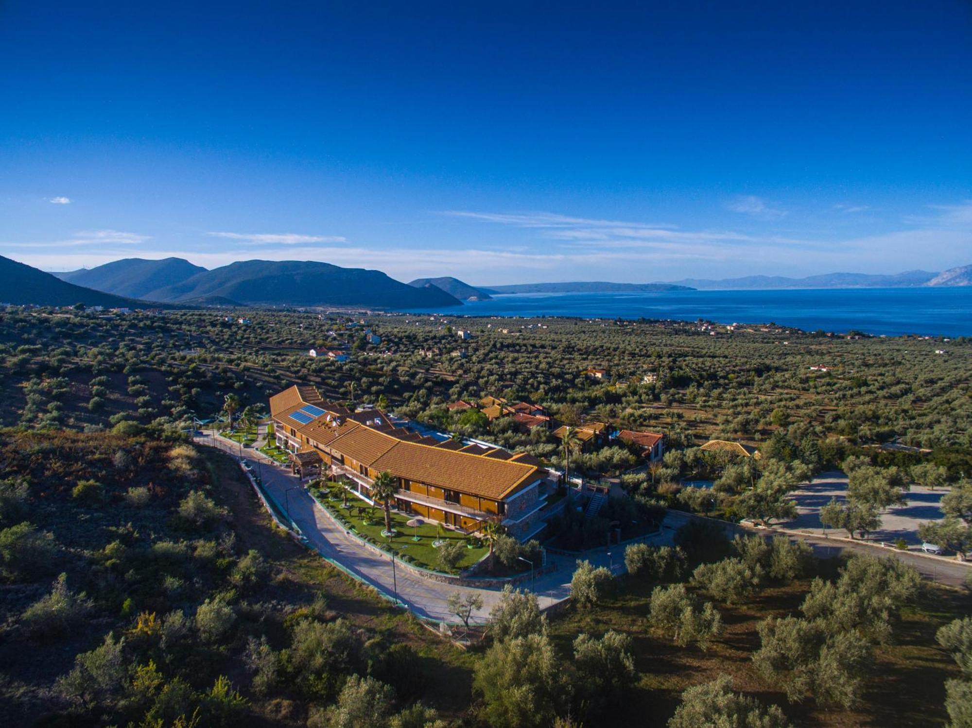 Hotel Anthidon Estate Chalkís Kültér fotó